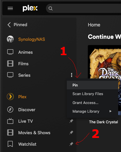 pin les bibliothèques et unpin les éléments plex